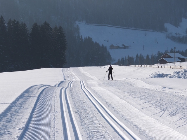  Cross -Country Skiing